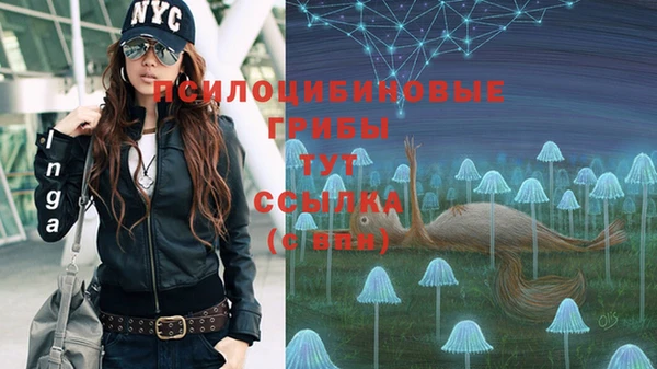 ALPHA PVP Верея