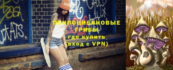 MDMA Верхний Тагил